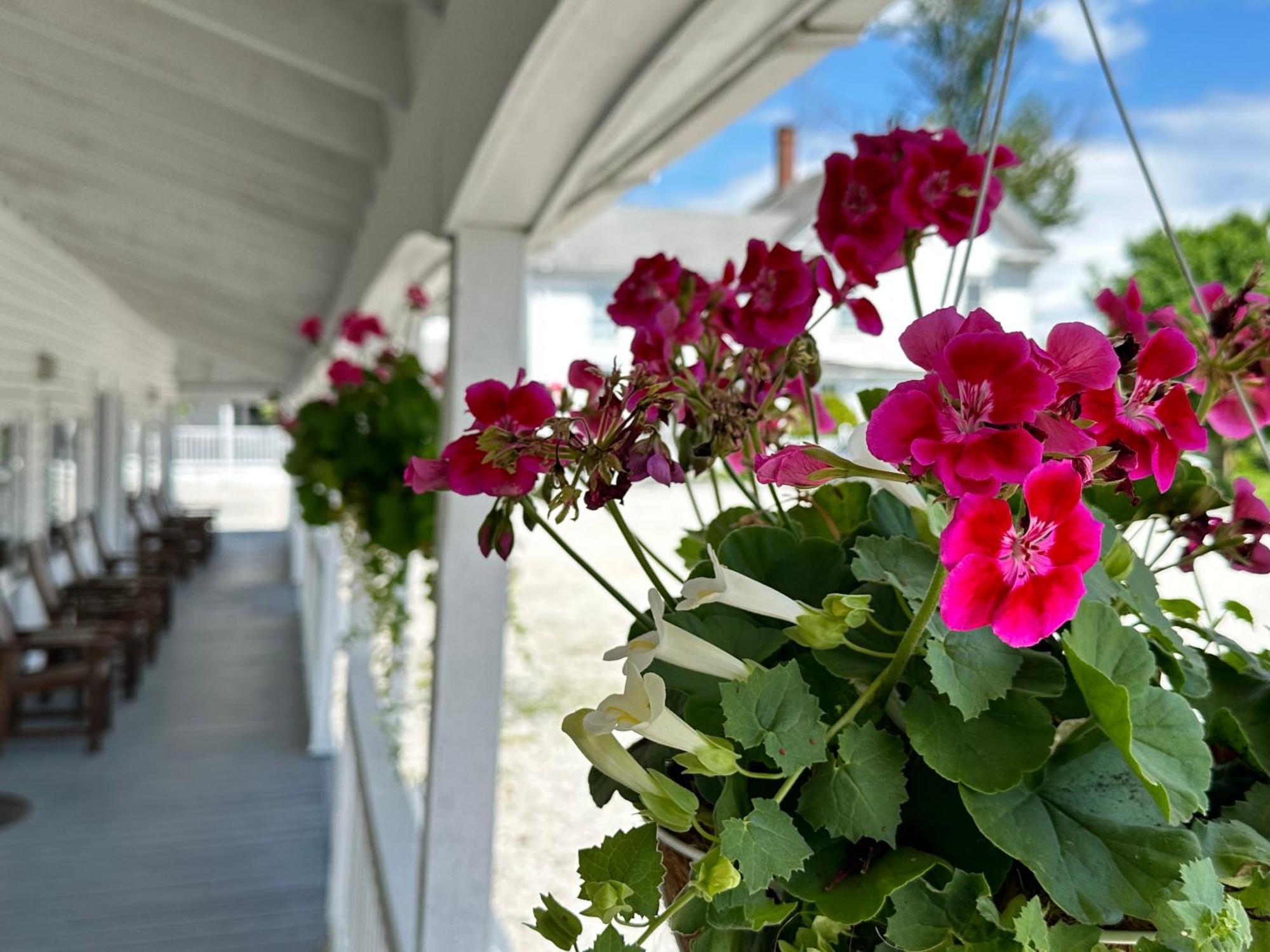 Searsport Yardarm Motel المظهر الخارجي الصورة